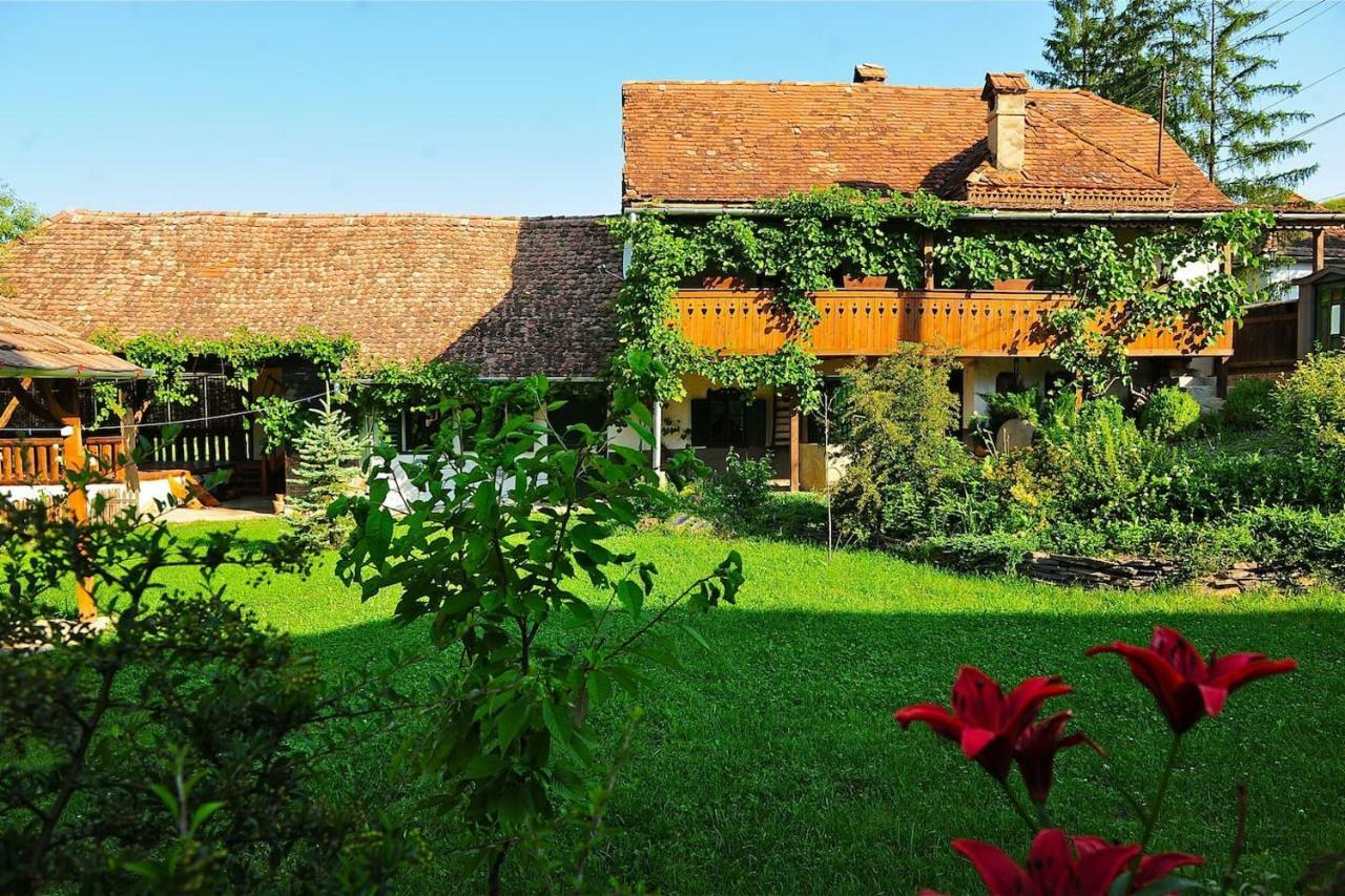 Transylvanian Country House Vetca Exterior foto